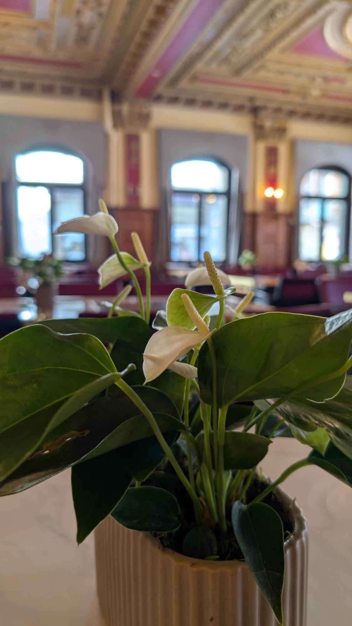 Hotel Harder Minerva Интерлакен Екстериор снимка